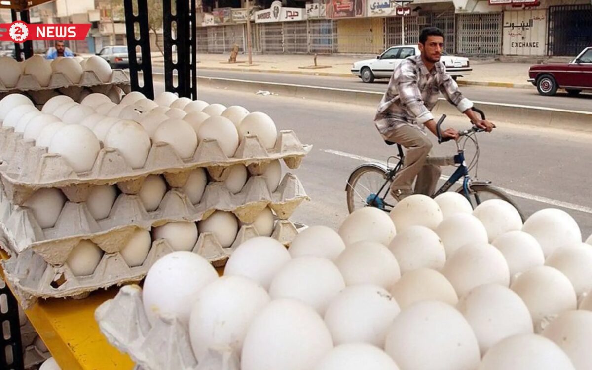 أزمة البيض في العراق: هل يخفض الاستيراد الأسعار أم يزيد الضغط على المنتج المحلي؟