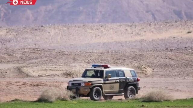 ضبط مخالف لنظام البيئة بحوزته بندقية وكائنات مصيدة