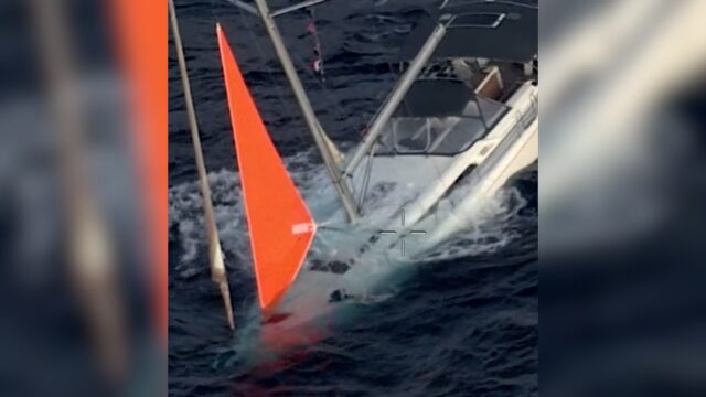 يخت يصطدم بحوت ويغرق.. والبحارة يقضون 17 ساعة في طوافة نجاة