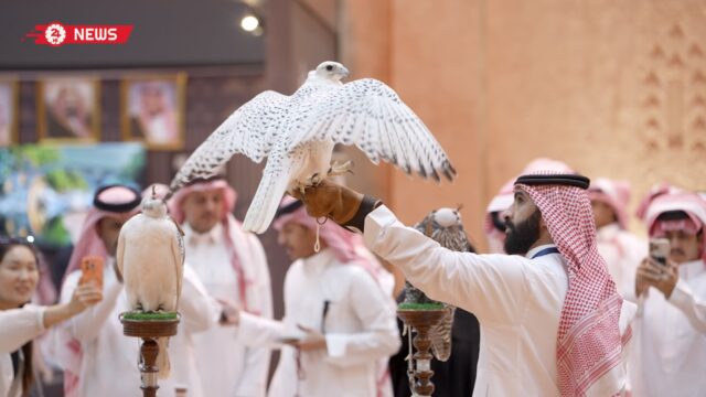 ما الذي يجعل صقرًا يبلغ سعره ثمن سيارة فاخرة؟