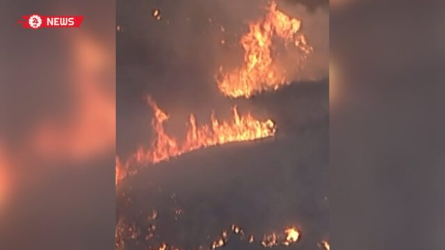 حرائق غابات تتمدد في جنوب كاليفورنيا.. ورياح “سانتا آنا” تزيد المخاطر