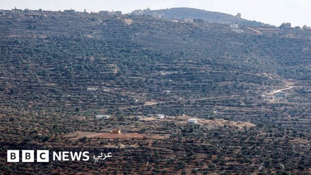 اعتداءات المستوطنين تتزامن مع موسم الزيتون بالضفة